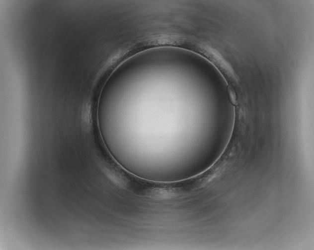 X0000112430250200908141436