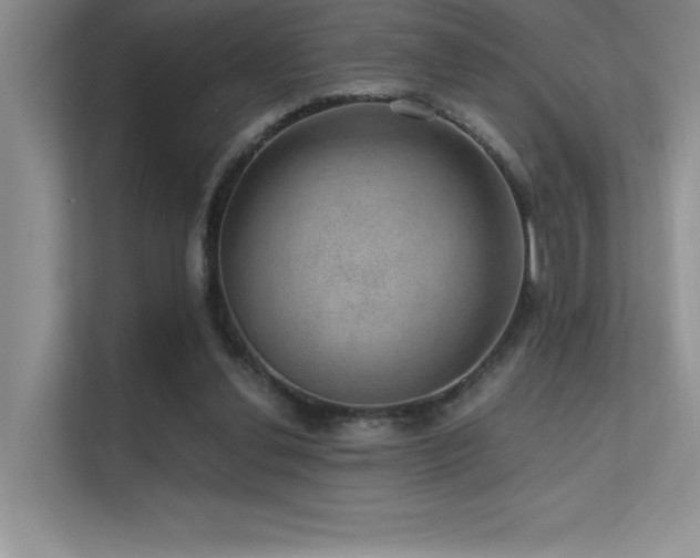 X0000112430252200908141437