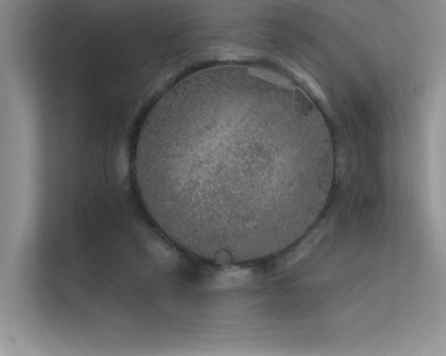 X0000112430257200908141437
