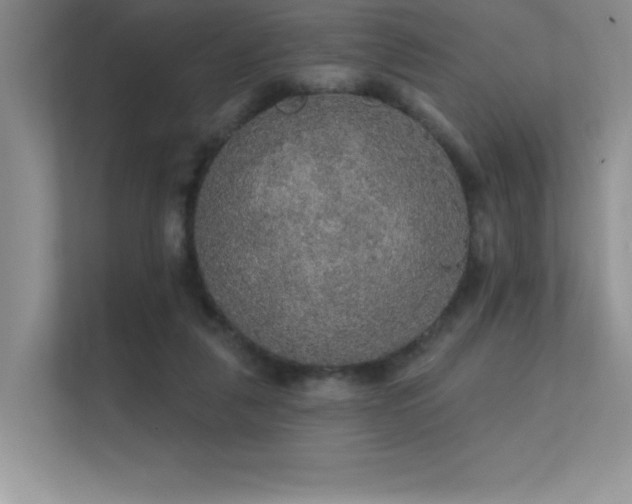 X0000112430259200908141437