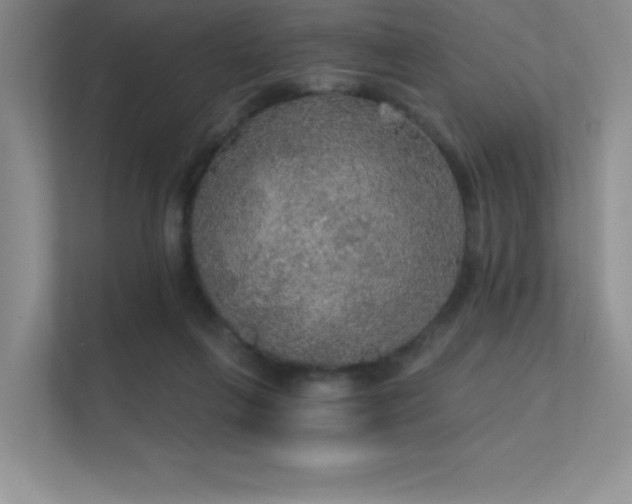 X0000112430263200908141437
