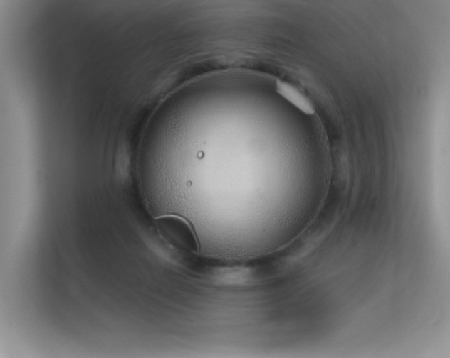 X0000112430266200908141437