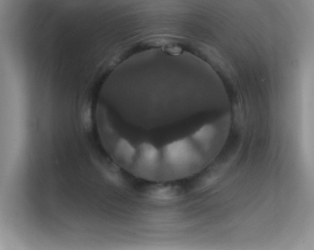 X0000112430267200908141437