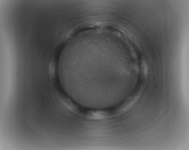 X0000112430268200908141437