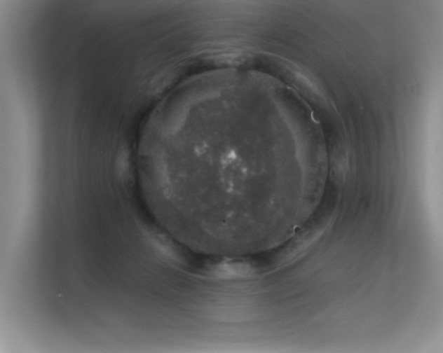 X0000112430270200908141437