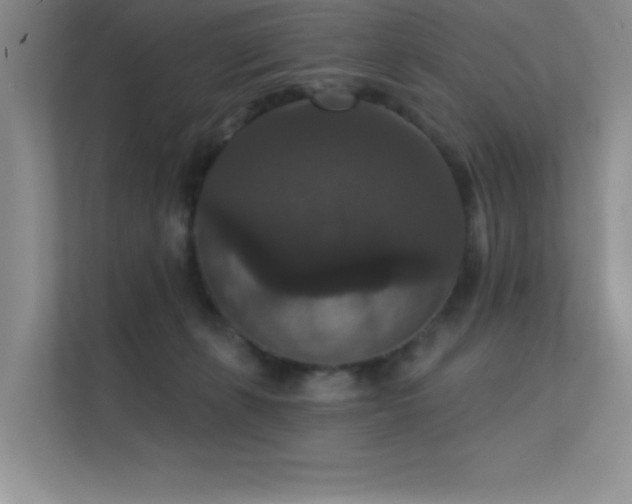 X0000112430271200908141437