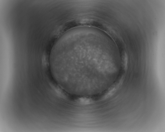 X0000112430272200908141437