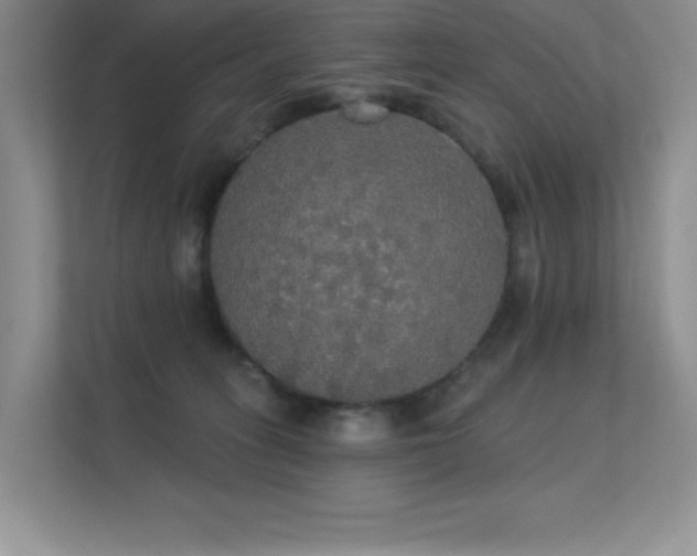 X0000112430275200908141437