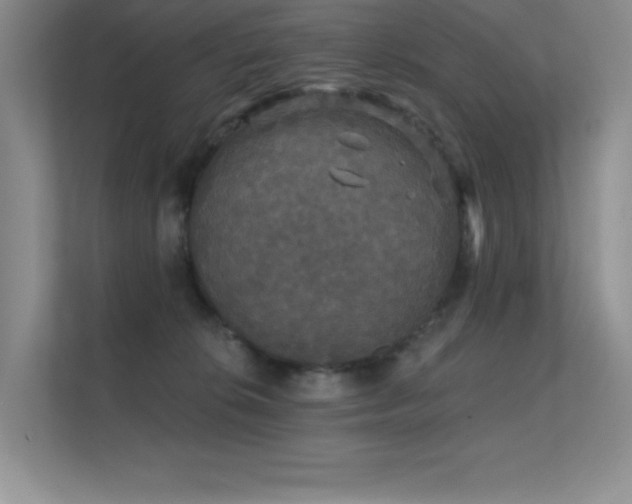 X0000112430276200908141437