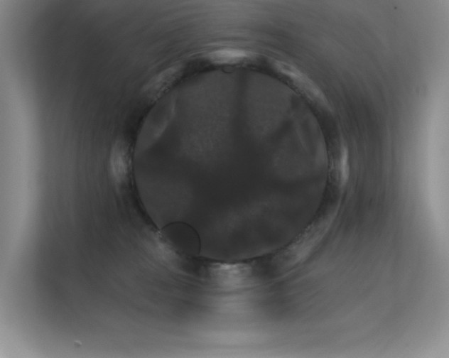 X0000112430277200908141437