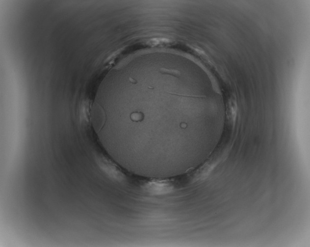 X0000112430280200908141437