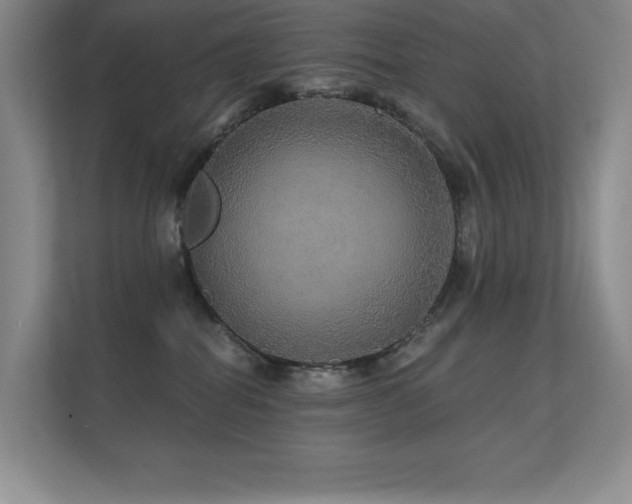 X0000112430282200908141437