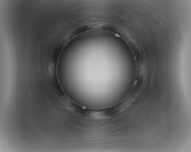 X0000112430283200908141437