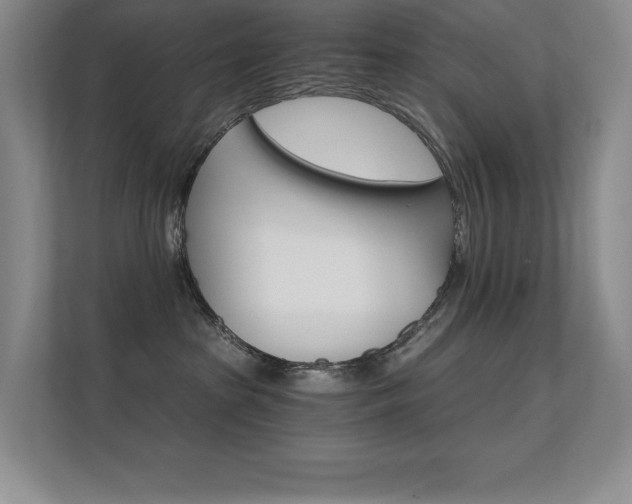 X0000112430285200908141437