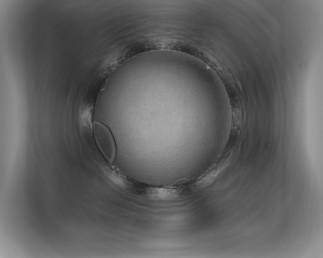 X0000112430286200908141437