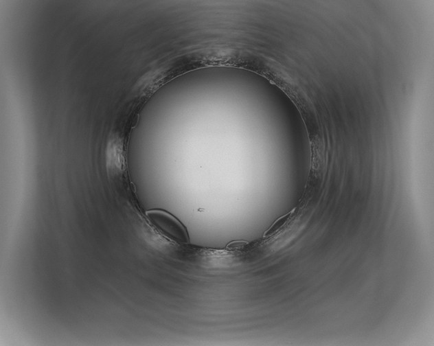 X0000112430287200908141437