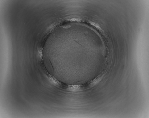 X0000112430288200908141437