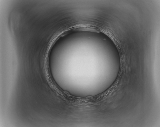 X0000112430289200908141436