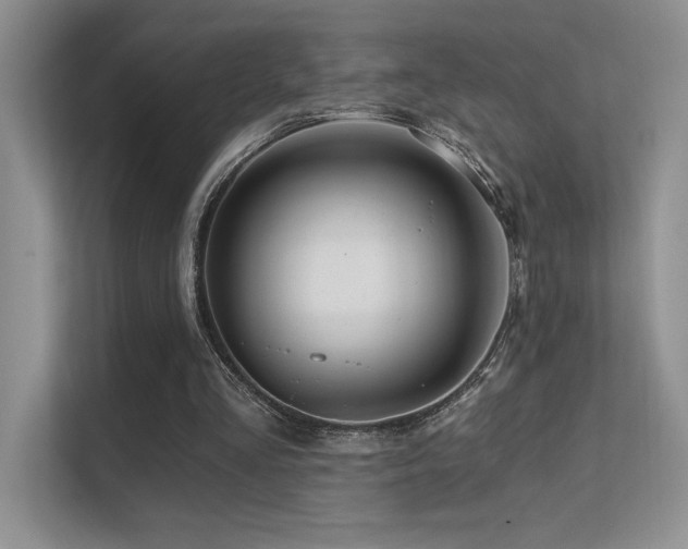 X0000112430293200908141436