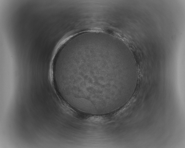 X0000112430294200908141436