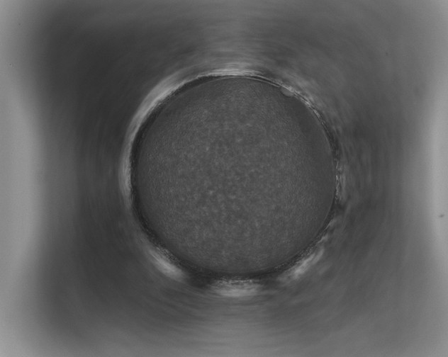 X0000112430296200908141436