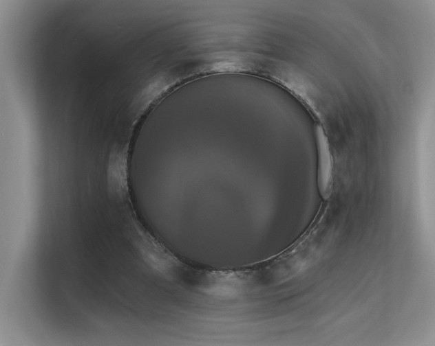 X0000112430297200908141436