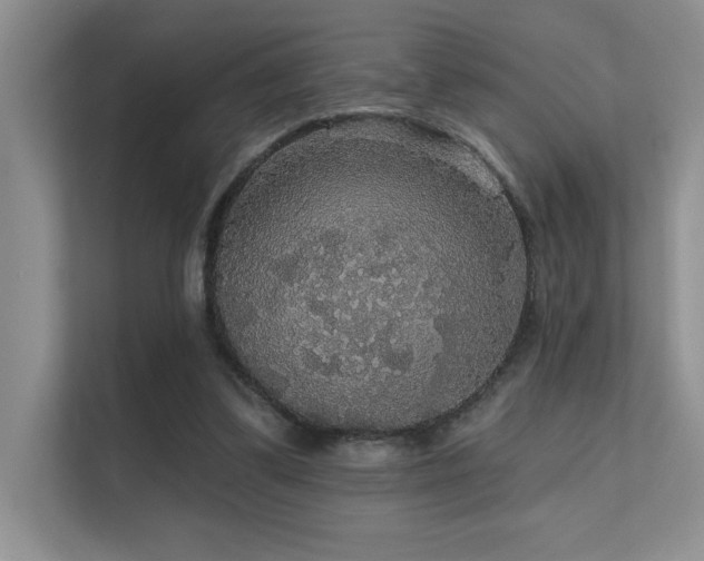 X0000112430299200908141436