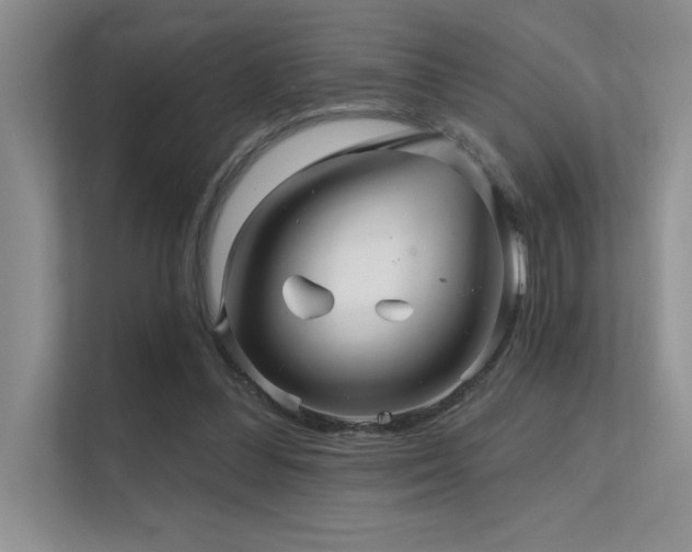 X0000112430300200908141436