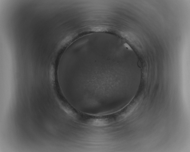 X0000112430303200908141436