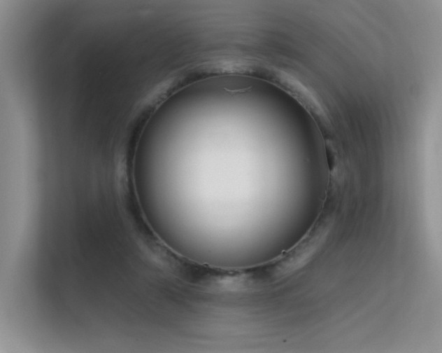 X0000112430306200908141436