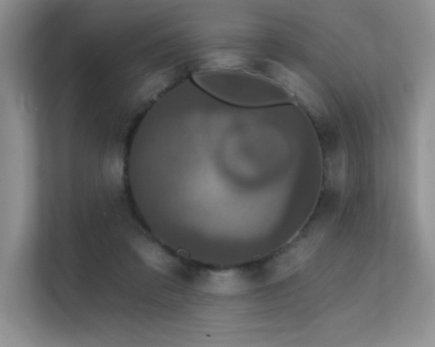 X0000112430309200908141436