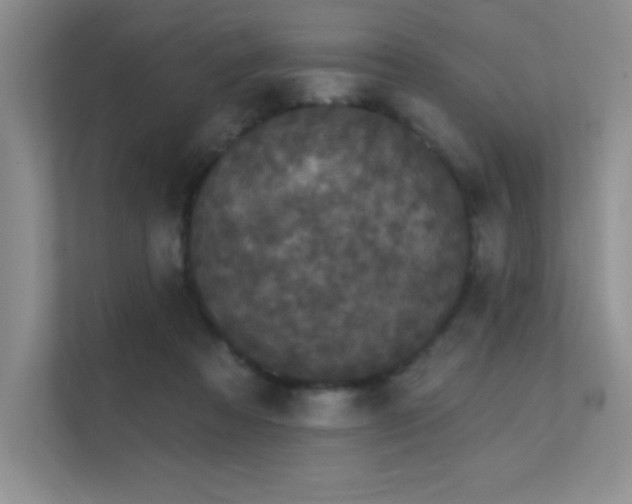 X0000112430313200908141436