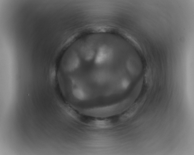 X0000112430314200908141436