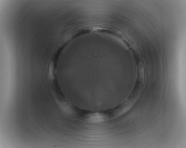 X0000112430316200908141436