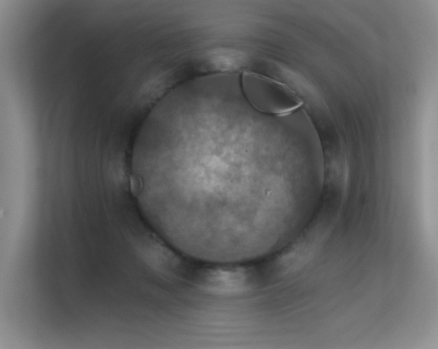 X0000112430317200908141436