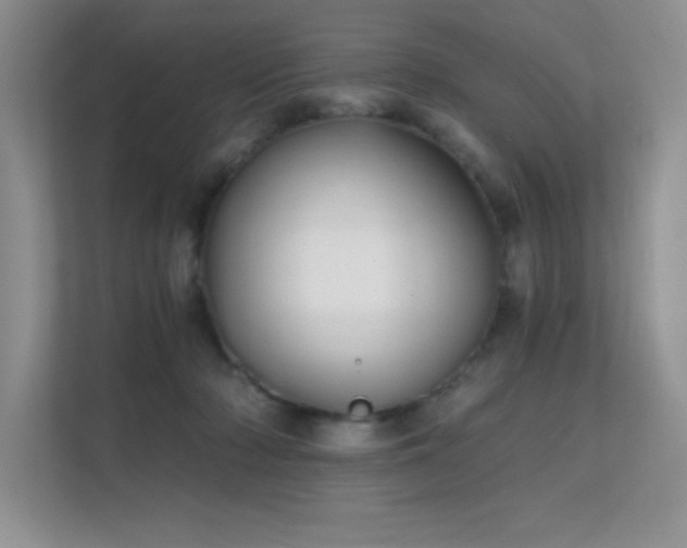 X0000112430318200908141436