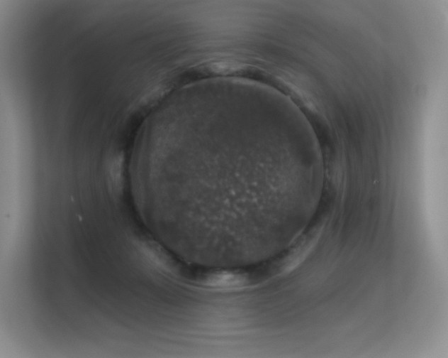 X0000112430319200908141436
