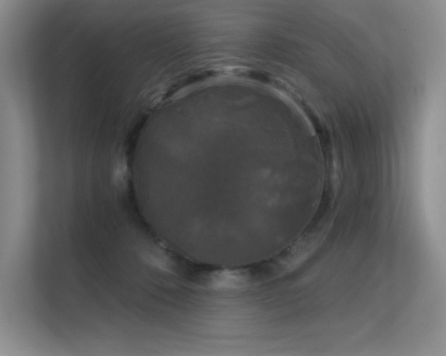 X0000112430320200908141436