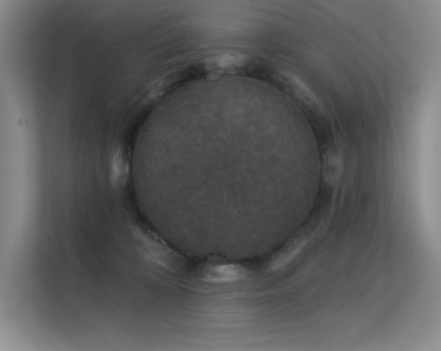 X0000112430324200908141436