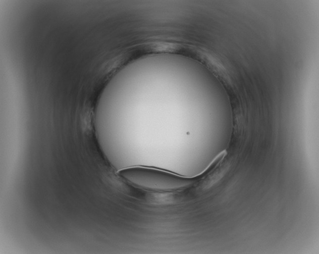 X0000112430325200908141436