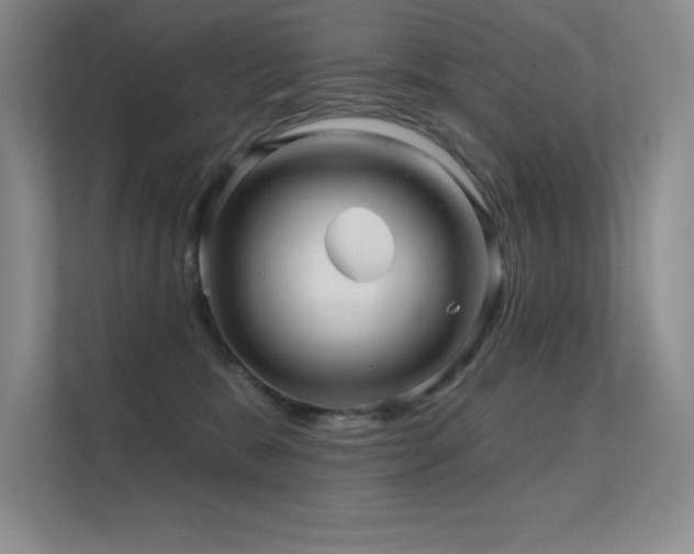 X0000112430327200908141436