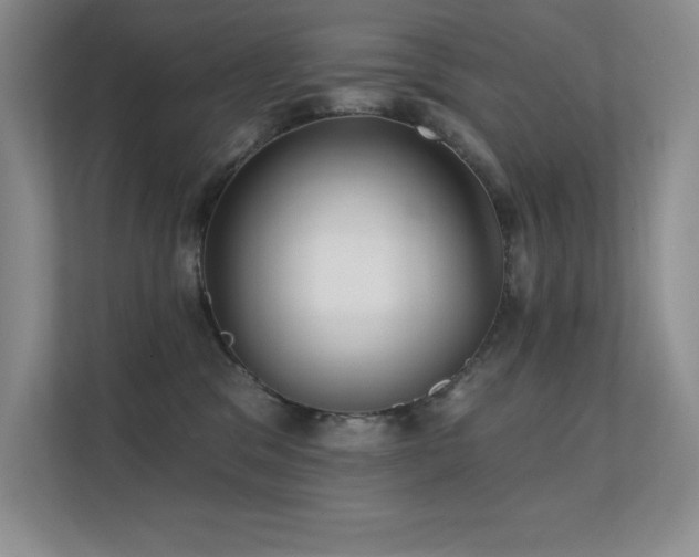 X0000112430329200908141436