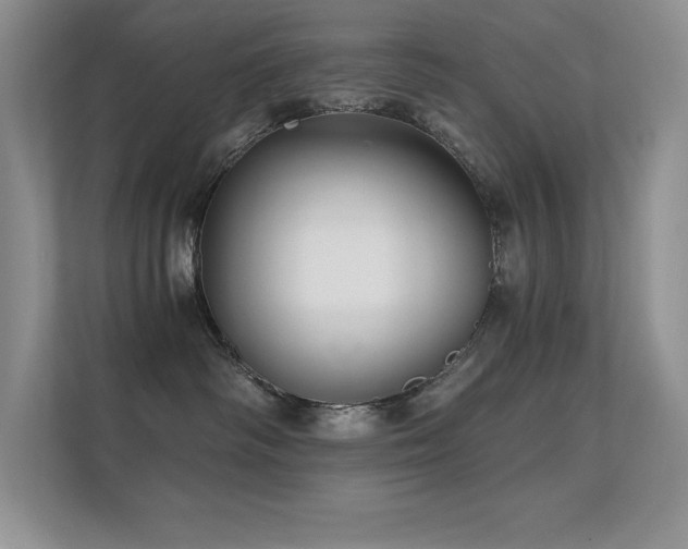 X0000112430334200908141436