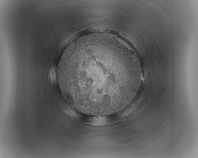 X0000112430335200908141436