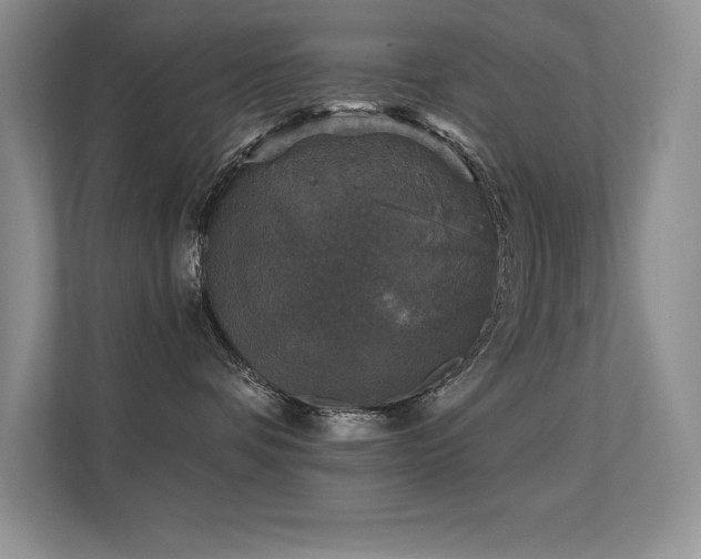 X0000112430336200908141436