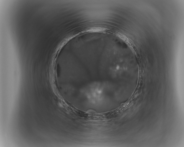 X0000112430337200908141435