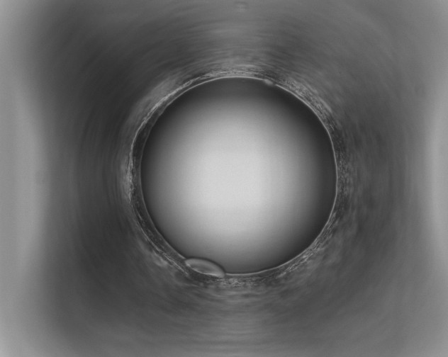 X0000112430338200908141435