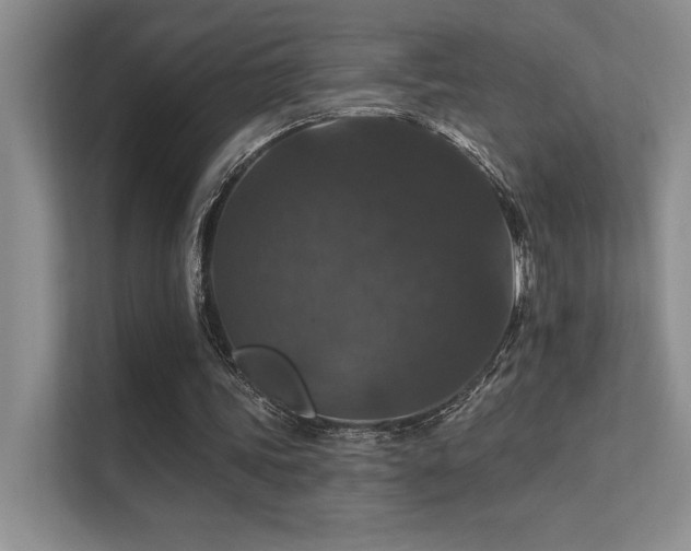 X0000112430339200908141435