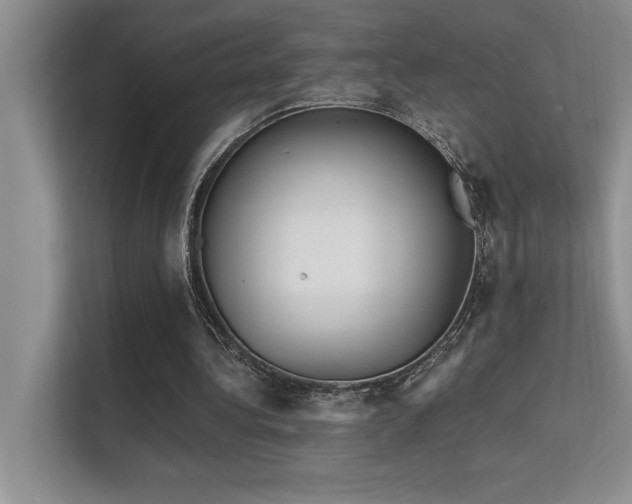 X0000112430340200908141435