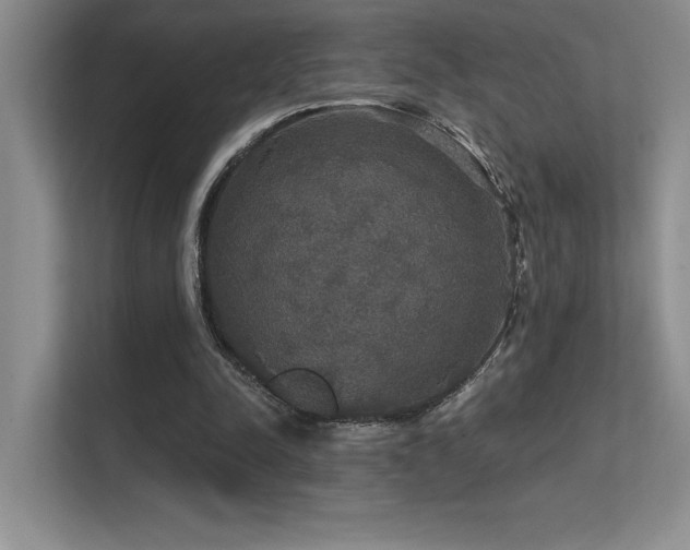 X0000112430342200908141435